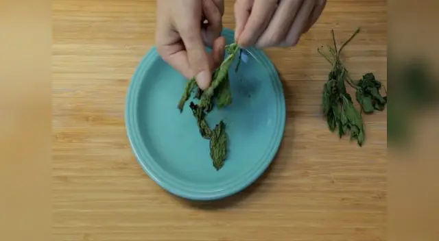 Corta unas cuantas hojas de menta y colócalas alrededor del alimento.