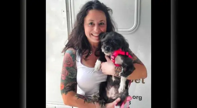 Tras semanas de recuperación una buena familia lo adoptó Tras semanas de recuperación una buena familia lo adoptó