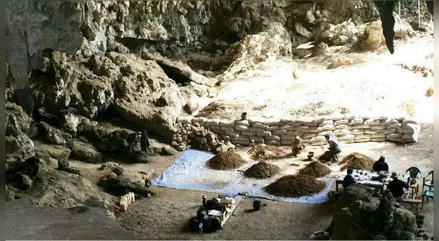 Los científicos continúan haciendo las excavaciones en la isla Las Flores.