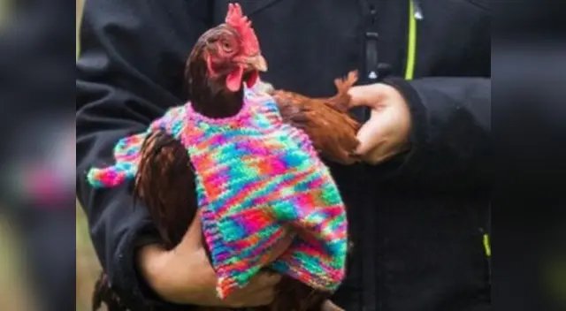 Ahora le llueven pedidos para este invierno.