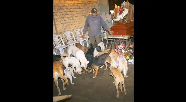Sus perros nunca se despegaron del ataúd Sus perros nunca se despegaron del ataúd