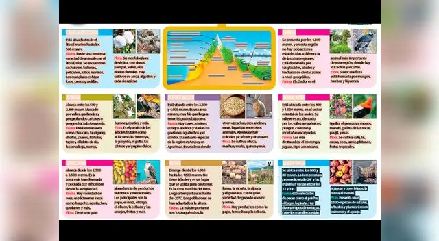 Mira cuántas regiones naturales tiene Perú.