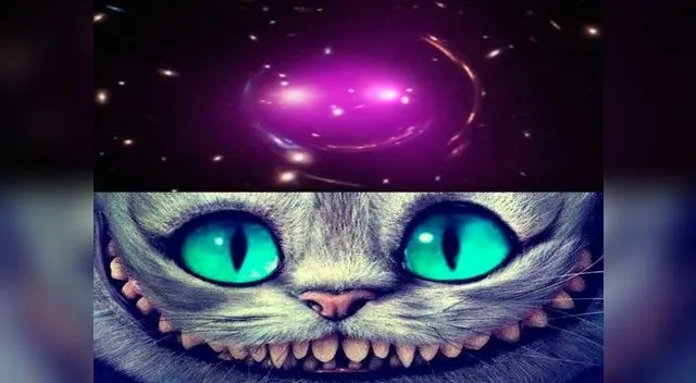 Imagen que captó la atención de los cibernautas.