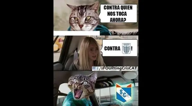 Los memes inundaron las redes sociales en son de burla contra Cristal. Los memes inundaron las redes sociales en son de burla contra Cristal.