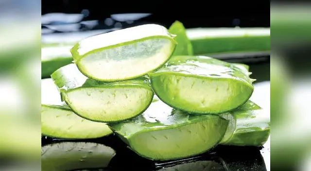 Pulpa de sábila contiene aminoácidos, minerales, vitaminas y proteínas.