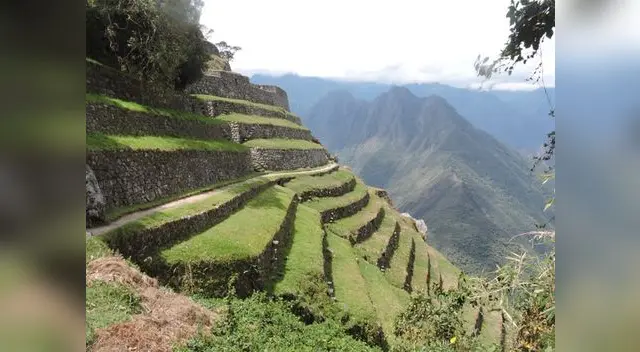 Andenes de Machu Picchu.