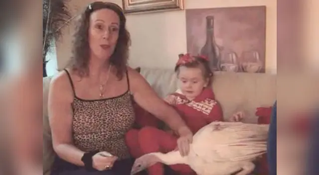 Athena al lado de Valerie, el pavo protagonista de la noticia, y su hermano. Athena al lado de Valerie, el pavo protagonista de la noticia, y su hermano.