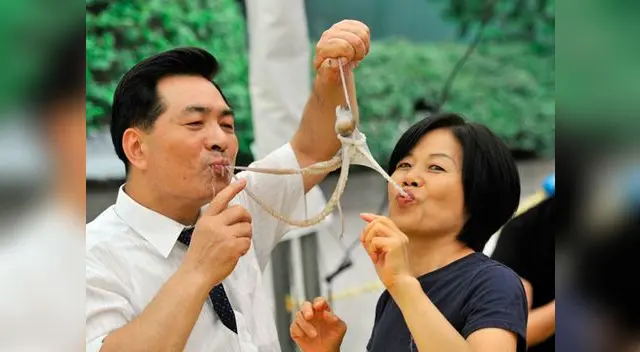 Pulpo vivo. Pulpo vivo.