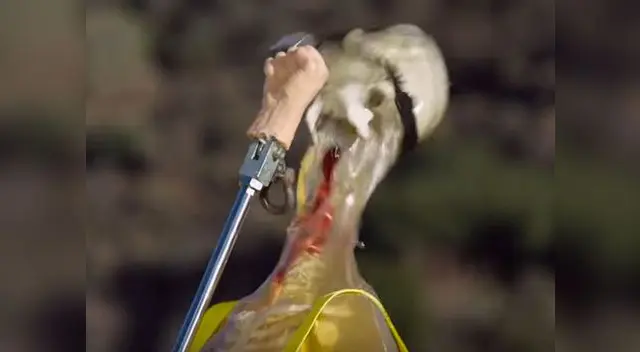 Momento del golpe Shoryuken.