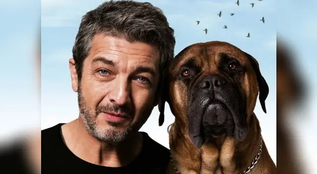 Academia del cine español nominó a Ricardo Darín. Academia del cine español nominó a Ricardo Darín.
