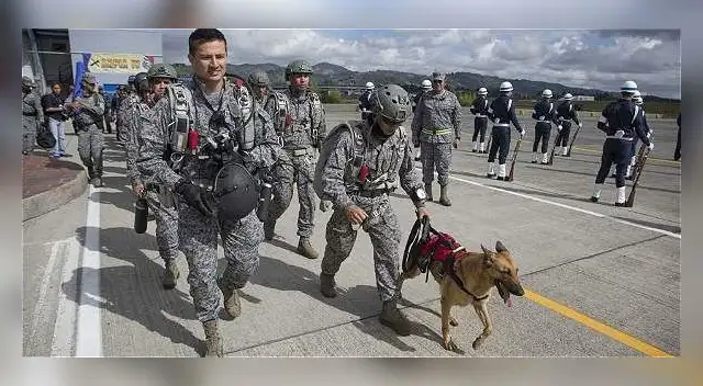 Los perros solo pueden ser parte de la Fuerza Aérea hasta los 10 años.