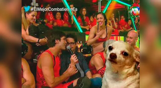 Público no tolera ver a su programa grabado. Público no tolera ver a su programa grabado.