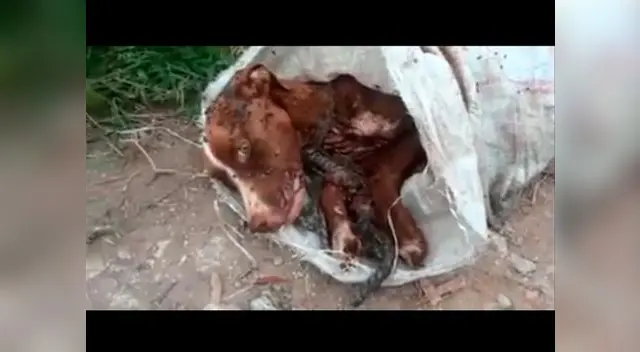 Repudiable acto humano