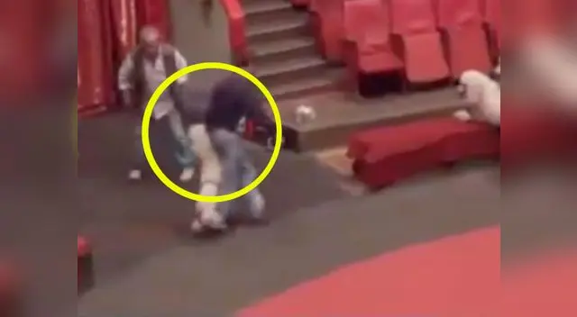 Perros Caniche reciben latizagos hasta que terminen por obedecer.