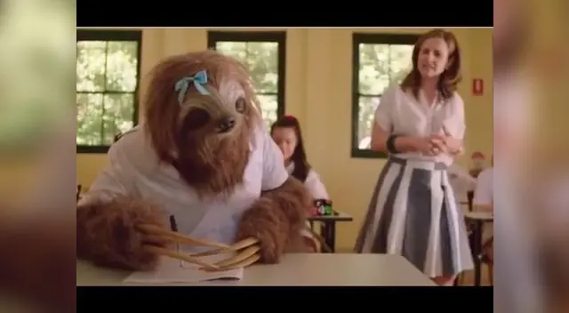 #StonerSloth es el nombre de la inusual campaña que se desarrolla en Australia #StonerSloth es el nombre de la inusual campaña que se desarrolla en Australia