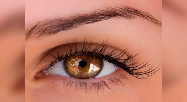 Consigue unas cejas y pestañas radiantes.