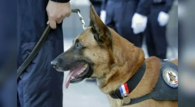 Un merecido reconocimiento a su labor.