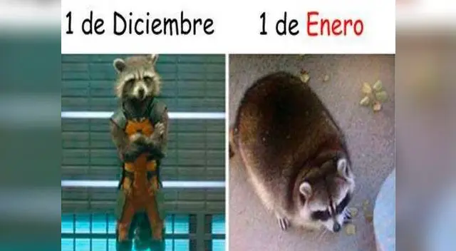 Memes por la llegada de 2016. Memes por la llegada de 2016.