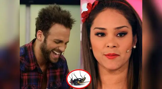 Peluchín vuelve a atacar a Karen con esta imagen. Peluchín vuelve a atacar a Karen con esta imagen.