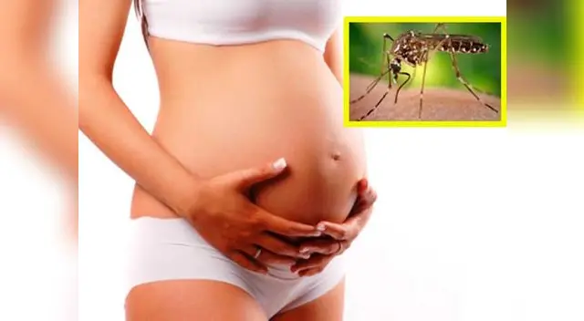 El virus del zika puede alterar la salud del bebé. El virus del zika puede alterar la salud del bebé.