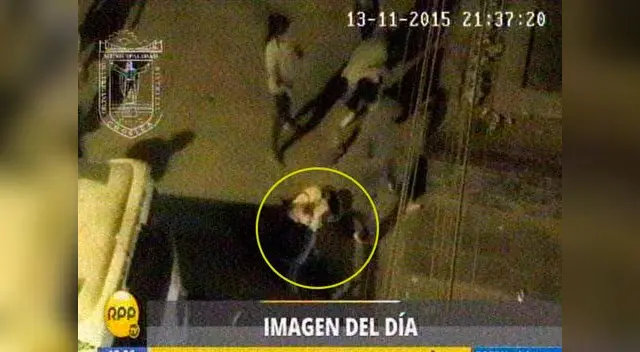 El conductor fue trasladado a la comisaría de Chosica.