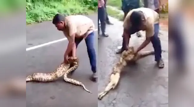 Esto pasó con la pitón y el granjero.