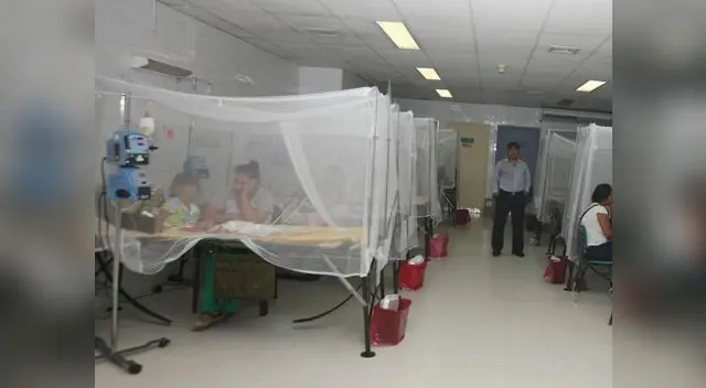 Raro mal tiene en la mira principalmente a gestantes, según especialistas. Raro mal tiene en la mira principalmente a gestantes, según especialistas.