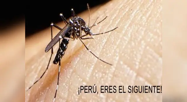 El Zika en Perú.