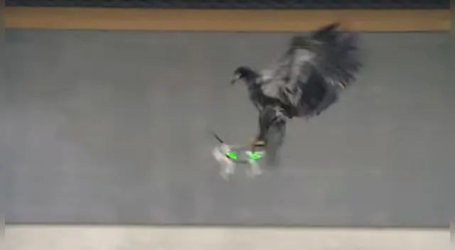 Un nuevo plan que no usa la tecnología para la seguridad. 