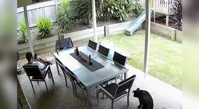 Las cámaras de seguridad captaron los hechos. Las cámaras de seguridad captaron los hechos.