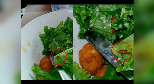 Pollería emitió un comunicado por el incidente con la cucaracha.