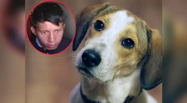 Ángel Huamán Herrera se encuentra no habido.