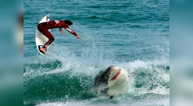 El ataque podría ser inminente, es mejor estar preparados. 