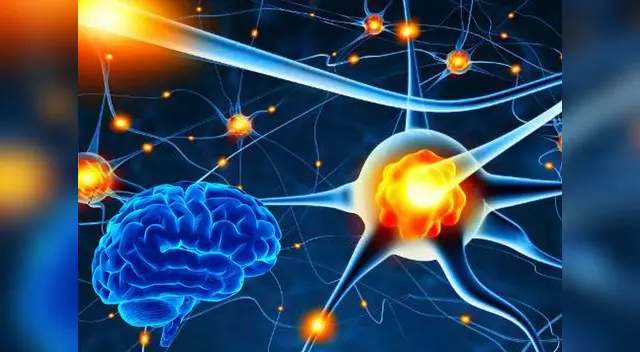 Un gran paso para la inmortalidad de la humanidad. 