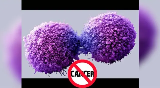 El cáncer podrá ser detectado a tiempo. El cáncer podrá ser detectado a tiempo.