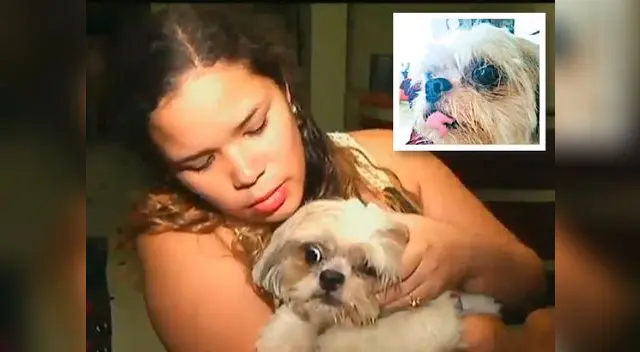 Dueña de can pide solución para mascota y sanción para negocio.