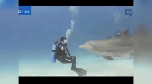 El menor se encontraba buceando con su papá. El menor se encontraba buceando con su papá.