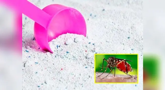 Chileno logró crear un detergente capaz de evitar el zika.