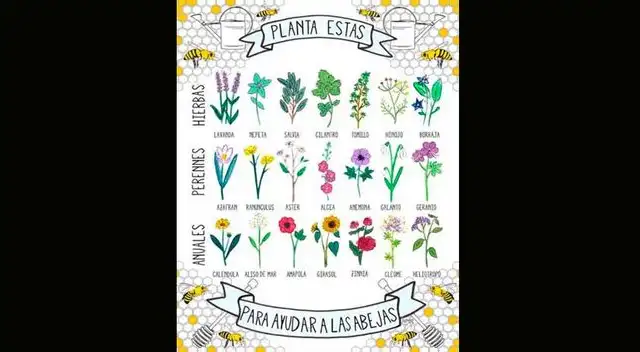 Para evitarlo, debemos hacer esto.