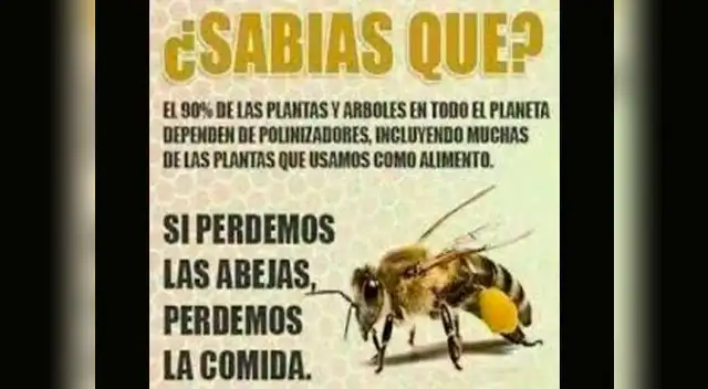 Para evitarlo, debemos hacer esto.