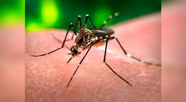 Este es el cuarto caso importado que se registra en Perú Este es el cuarto caso importado que se registra en Perú