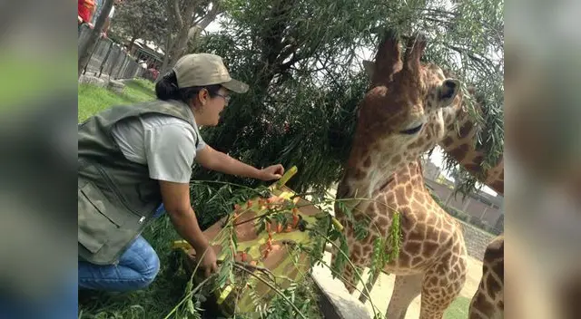 Día Internacional de la Mujer