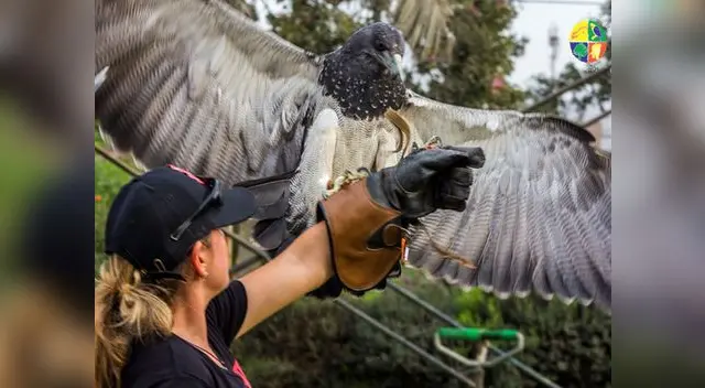 Día Internacional de la Mujer