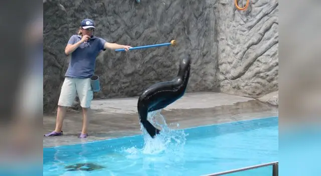 Día Internacional de la Mujer