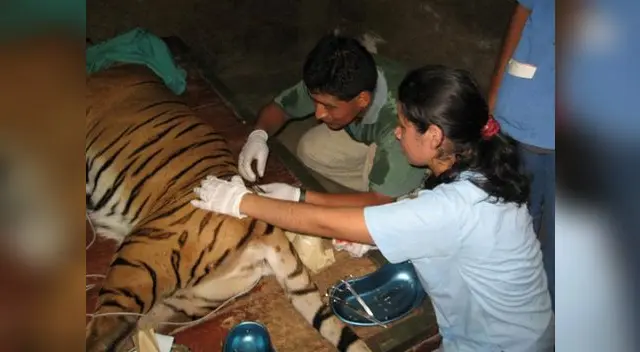 Día Internacional de la Mujer