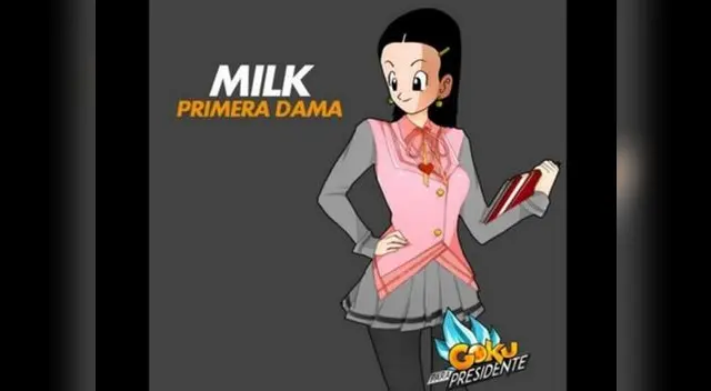 Esta es la plancha ganadora para llegar a la presidencia. Esta es la plancha ganadora para llegar a la presidencia.