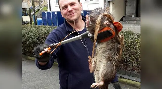 Hombre asegura que nunca vio algo así en su vida Hombre asegura que nunca vio algo así en su vida