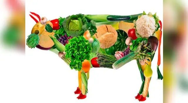 Así se podrá reducir la matanza masiva de animales en todo el mundo Así se podrá reducir la matanza masiva de animales en todo el mundo