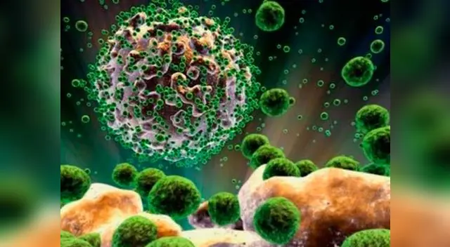 Virus que afectaría la salud a nivel mundial