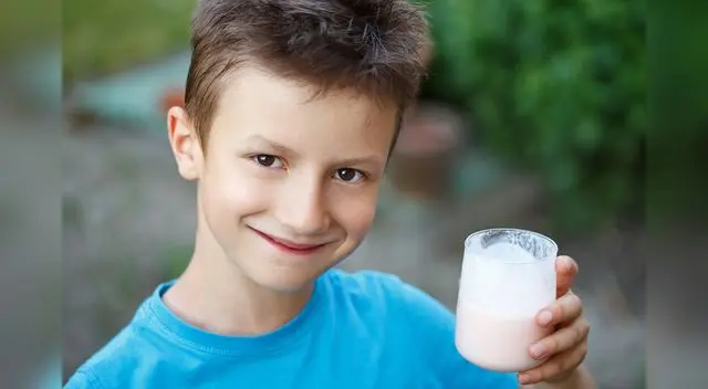 Puede ser una buena alternativa para la lonchera escolar